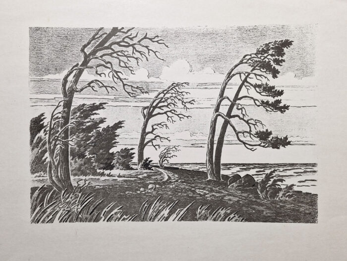 kamm, paul (1917 – 1979). pine on coast. (1961) kamm, paul (1917 – 1979). pine on coast. (1961)