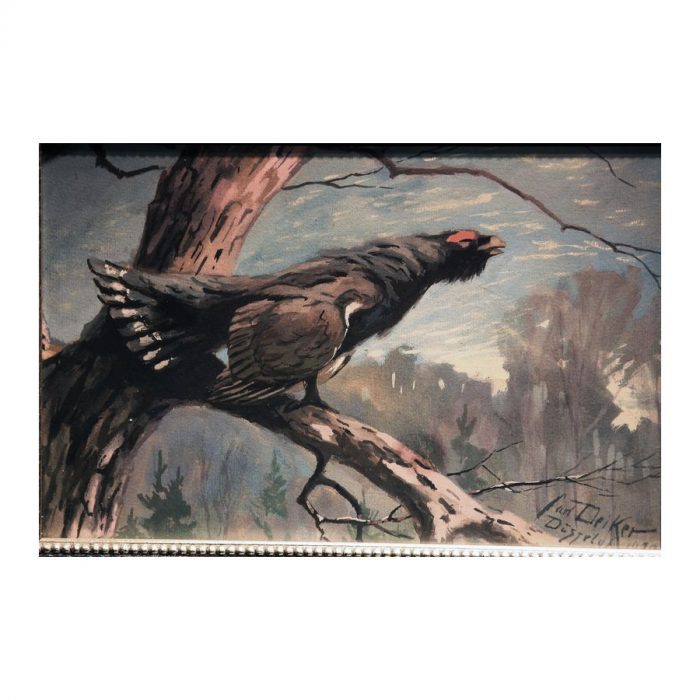 54eac0_5e3c7157ee2d45da86d85d5ce9ab78e7mv2 Deiker, Carl (1879 - 1958). Wood-grouse. (1920) - Image 3