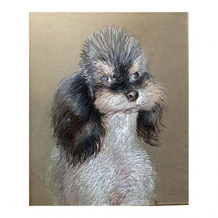 The unknown Estonian Artist Poodle. (the beginning 50s)