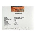 Kokamägi, Luulik (1921 – 1986). Landscape with a White House. (1964) — изображение 4