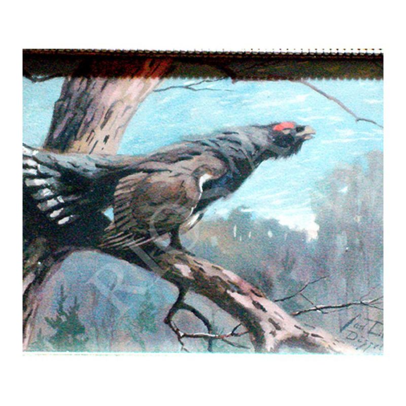 Deiker, Carl (1879 - 1958). Wood-grouse. (1920)