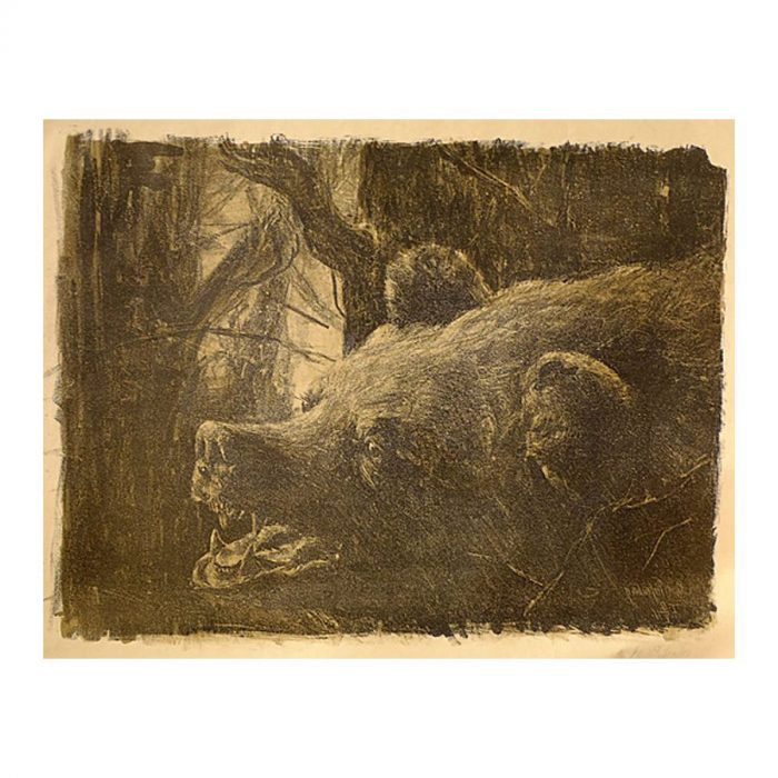 Piepenberg, Karin (1891 – 1970). Bear Head (1911) Piepenberg, Karin (1891 – 1970). Bear Head (1911)