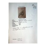 Kaljo Richard (1914-1978). The Naked Woman. (1962) — изображение 2