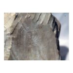 Fanfani, Guido (1859 - 1937). Italian. (1920s) - Image 2