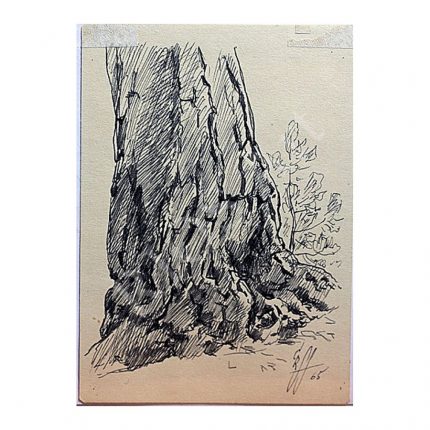 Reindorff, Günther (1889-1974). Old and Young Pine. (1965)