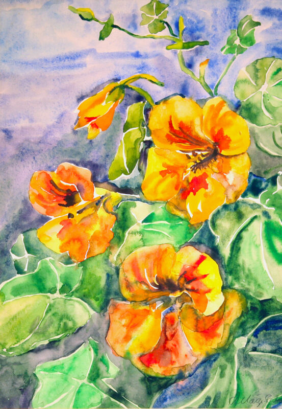 mägi palm, ano (1913 1991). nasturtiums. (1991)