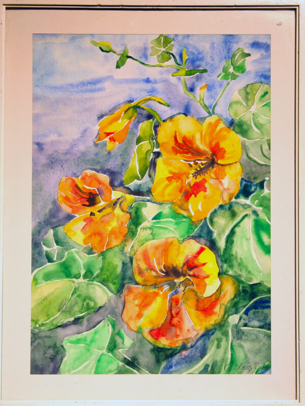 mägi palm, ano (1913 1991). nasturtiums. (1991)