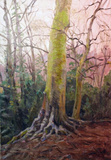 leškin viktor (1914 1998). Šamšitisalu kaukaasias. (1957)