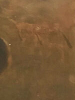 kaulbach, herman (1846 – 1909). portrait of the lady. (the end 19 centuries)