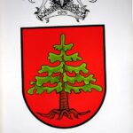 soans, olev (1925 – 1995). arms võru. (1970s)